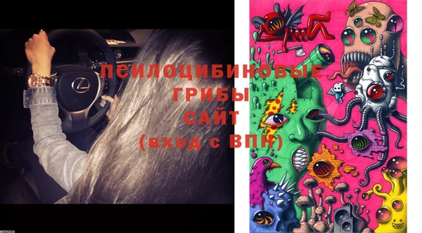 MESCALINE Нефтекумск